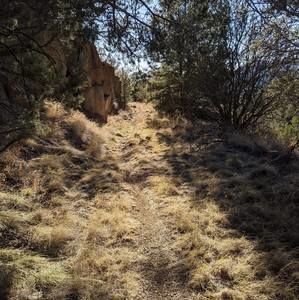 Meet your Posher, June